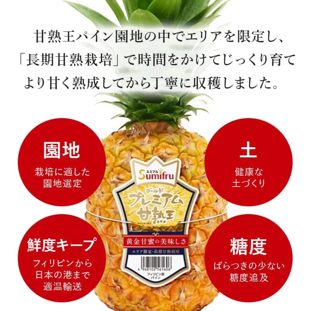 Amazon.co.jp: スミフル 甘熟王 ゴールドプレミアムパイン